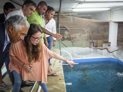 Indústria do Mar é oportunidade para crescer e criar emprego