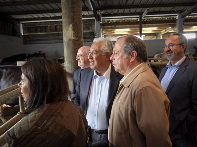 Crise no sector do leite exige resposta urgente