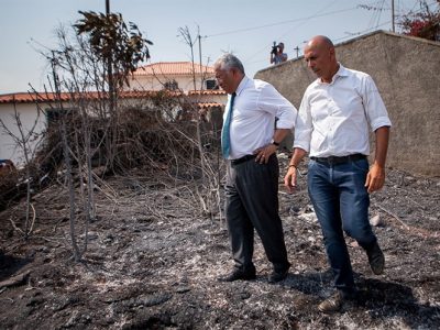 Urgente avançar com reforma florestal