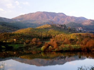 PARQUE NACIONAL DA PENEDA-GERÊS SERÁ EXEMPLO DE GESTÃO DA FLORESTA