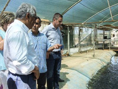 Apoio à investigação pública e parceria com empresas do sector