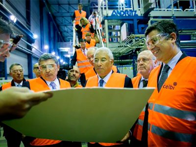 Priorizar o investimento na melhoria da produtividade florestal