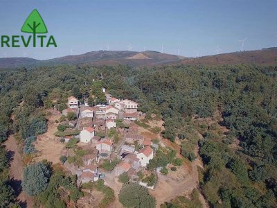 Fundo de apoio à revitalização já disponível online