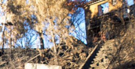 688 milhões em medidas para fazer face aos incêndios