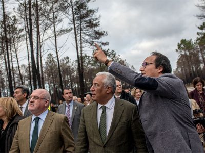 Primeiro-ministro e membros do Governo participam em ação de limpeza florestal