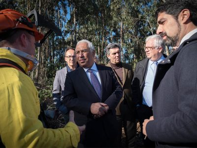 Limpeza da floresta é decisiva para diminuir riscos