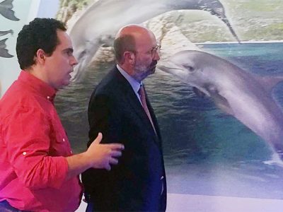 Plásticos inundam oceanos e matam milhões de aves marinhas e de mamíferos