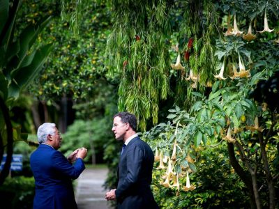 Futuro da competitividade europeia assenta em maior inovação