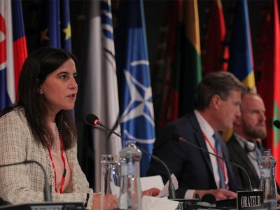 Lara Martinho apresenta relatório sobre cooperação e desafios de segurança da NATO