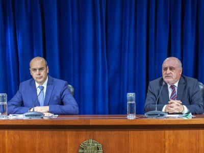 Reforma da floresta não pode ser adiada por mais dez anos