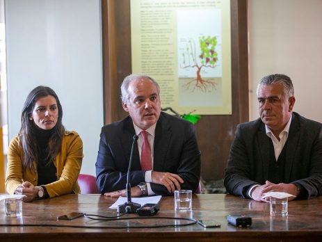 Eurodeputados do PS vão aos Açores reunir-se com deputados socialistas regionais