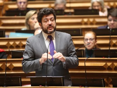 PS apresenta alteração ao regime sancionatório para crimes contra animais de companhia