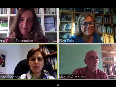 Elza Pais: "É preciso integrar a perspetiva de género nas políticas públicas"