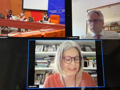 Edite Estrela alerta Conselho da Europa para urgência da crise climática