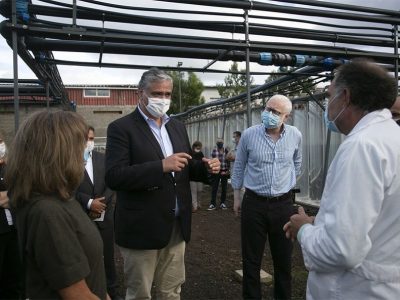 PS/Açores valoriza relançamento da economia e apoios sociais