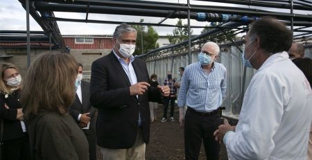 PS/Açores valoriza relançamento da economia e apoios sociais