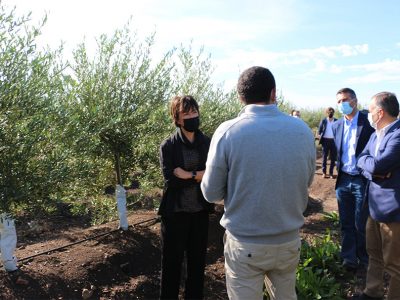 Ajudas aos agricultores ultrapassaram 450 milhões de euros em outubro