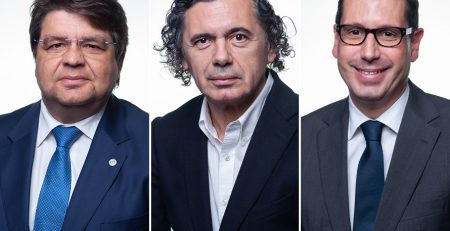 HOMENS PARLAMENTARES SOCIALISTAS CONTRA A VIOLÊNCIA DOMÉSTICA VII
