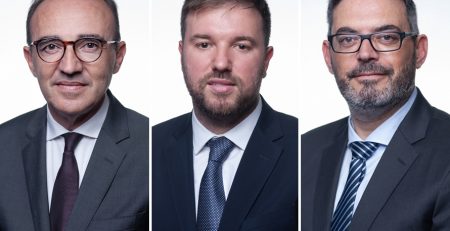 HOMENS PARLAMENTARES SOCIALISTAS CONTRA A VIOLÊNCIA DOMÉSTICA X