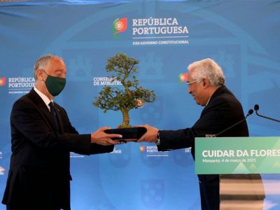 Governo reforça persistência na reforma da floresta