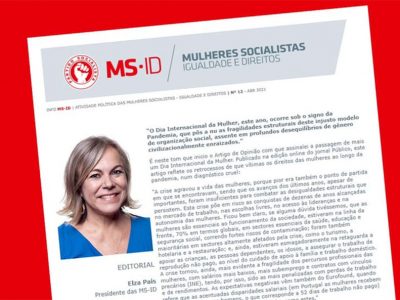MS-ID: Newsletter nº 12