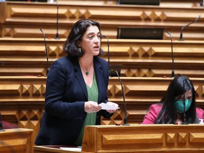deputada Telma Guerreiro, Assembleia da República