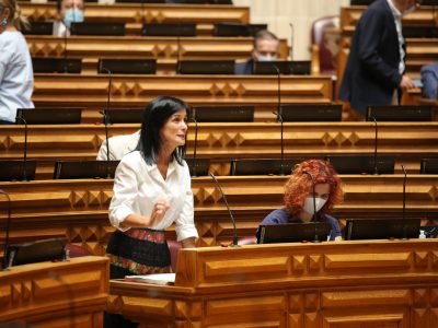 Cláudia Santos, Assembleia da República