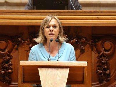 Elza Pais, Assembleia da República