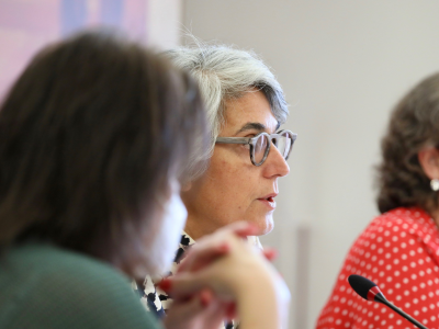 Graça Fonseca, Assembleia da República