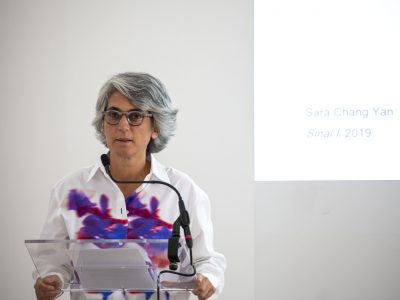 Graça Fonseca, CACE