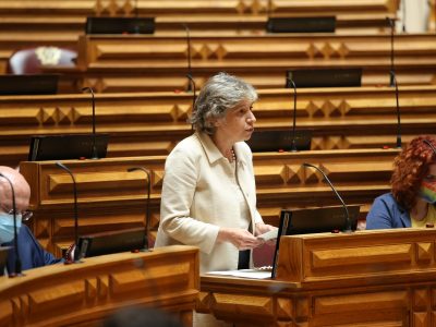 Isabel Oneto, Assembleia da República