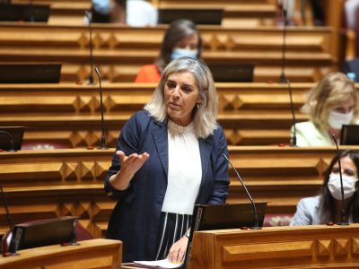 Isabel Rodrigues, Assembleia da República