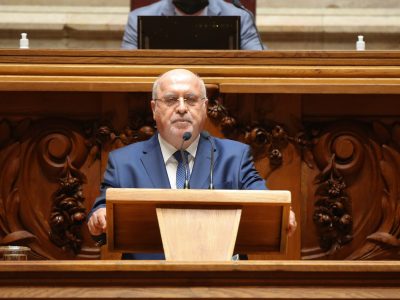 Luís Capoulas Santos, Assembleia da República