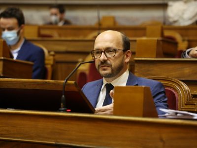Nuno Fazenda, Assembleia da República