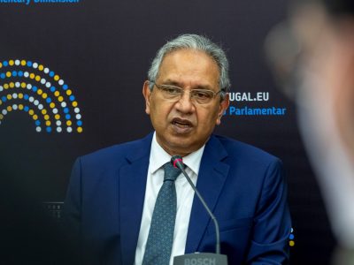 Neslon de Sousa, Assembleia da República