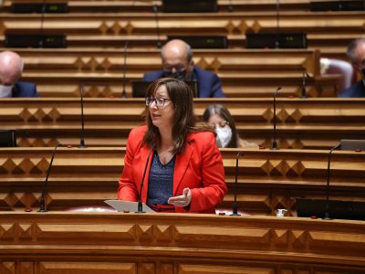 Susana Amador, Assembleia da República