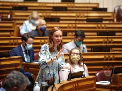 Sofia Araújo, Assembleia da República