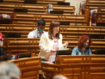 Susana Amador, Assembleia da República