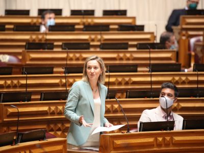 Vera Braz, Assembleia da República