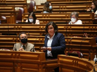 Sara Velez, Assembleia da República