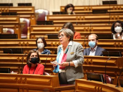 Joaquina Matos, Assembleia da República