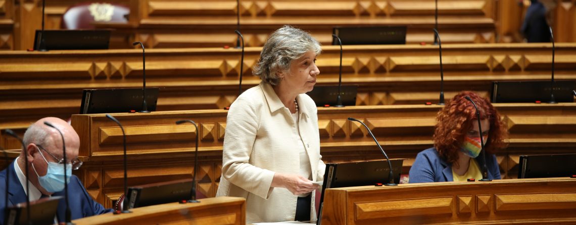 Isabel Oneto, Assembleia da República