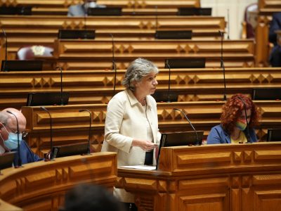 Isabel Oneto, Assembleia da República