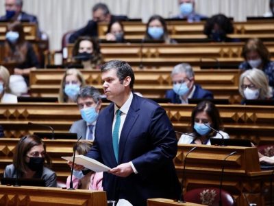Pedro Cegonho, Assembleia da República