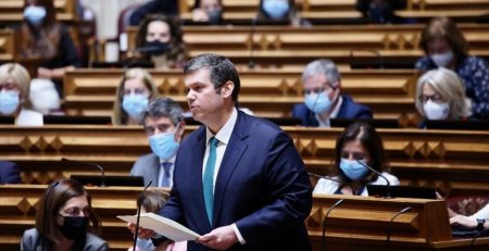 Pedro Cegonho, Assembleia da República