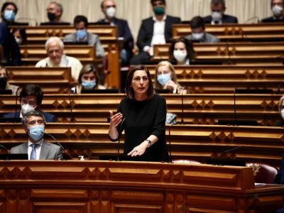 Ana Catarina Mendes, Assembleia da República