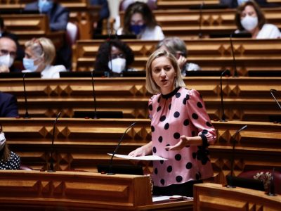 Vera Braz, Assembleia da República