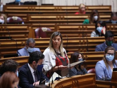 Palmira Maciel, Assembleia da República