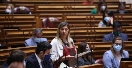 Palmira Maciel, Assembleia da República