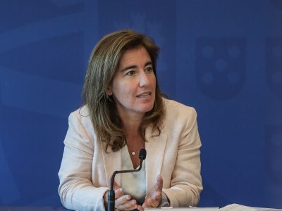 Ana Mendes Godinho